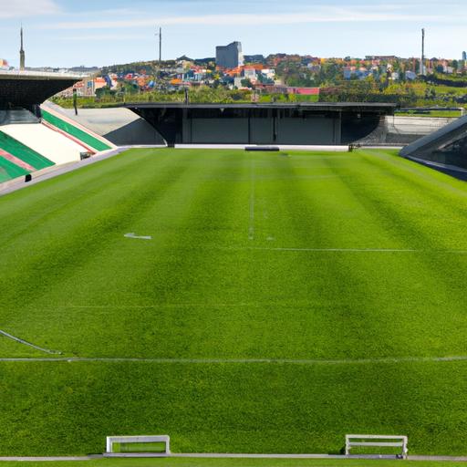 Sân bóng tại sân vận động Parken sẵn sàng cho trận đấu.